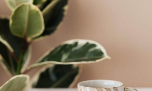 миниатюра курса